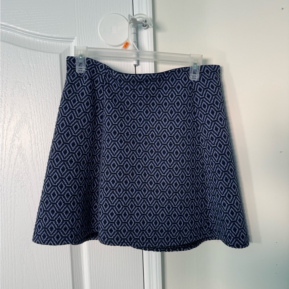 Zara blue skirt